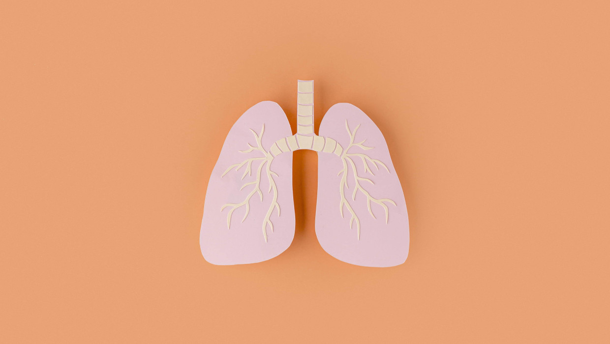 Pulmones de papel