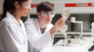Grado Superior en Laboratorio Clínico y Biomédico en Málaga