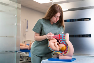 FP Anatomía Patológica en Málaga