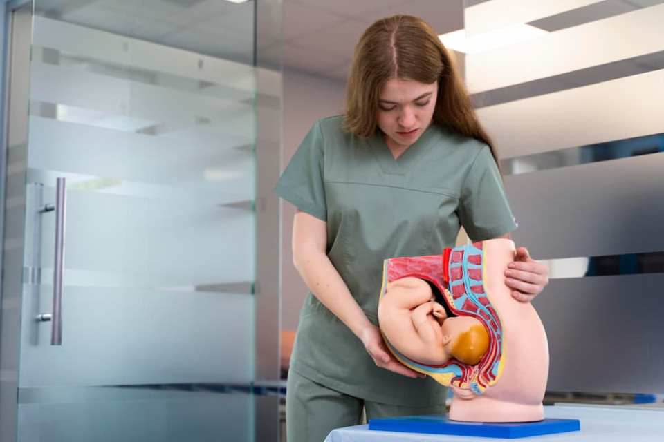 FP de Anatomía Patológica y Citodiagnóstico en Barcelona